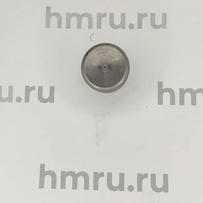 Поршень для LPF/PPF-100(T) стандартный Hualian - Купить с доставкой по всей России