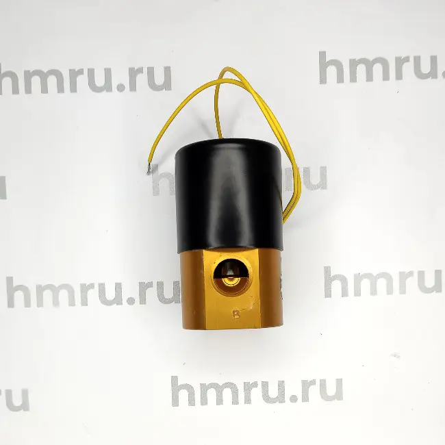 Электромагнитный клапан пуска газа для DZQ-610/2SA Hualian - Купить с доставкой по всей России