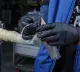 Гидравлический шприц SF-260 Hualian - Купить с доставкой по всей России - 9