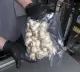 Напольная двухкамерная вакуум-упаковочная машина EV-62 (нерж) Hualian - Купить с доставкой по всей России - 9