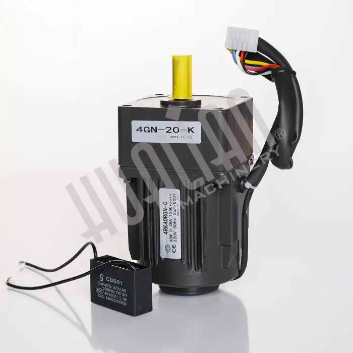 Мотор-редуктор 4RK40RGN-C/4GN20-K термотоннеля для BSF-5030LT Hualian - Купить с доставкой по всей России