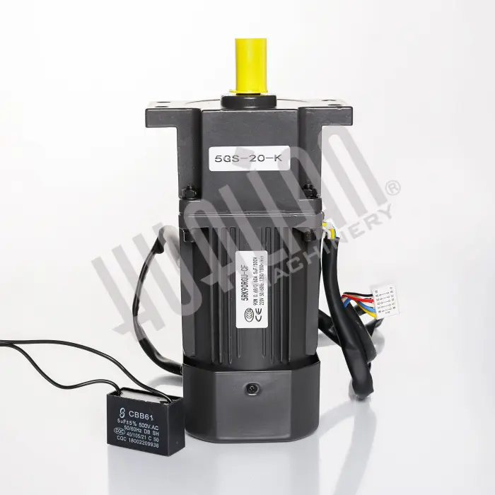 Двигатель конвейера 5RK90RGU-CF/5GS-20-K для BS-6535LA Hualian - Купить с доставкой по всей России
