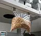 Вакуумный упаковщик DZQ-600LD Hualian - Купить с доставкой по всей России - 21