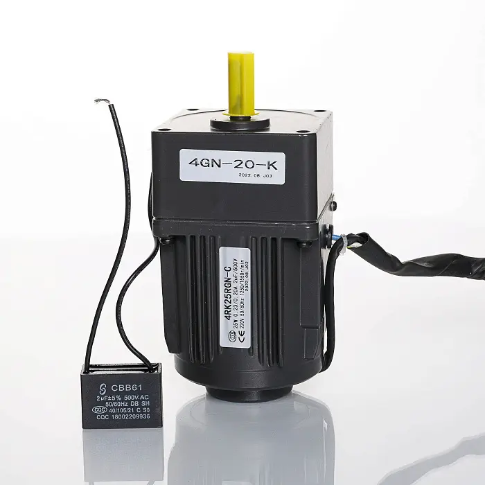 Мотор-редуктор 4RK25RGN-CF/4GN20-K (220 В) для конвейера BS-4525A Hualian - Купить с доставкой по всей России