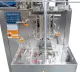 Автоматическая фасовочно-упаковочная машина DXDK-320RH-E (нерж., стик 17*110 мм, 4.6-8 мл, W пленки 42 мм, зубч. нож.) Hualian - Купить с доставкой по всей России - 17