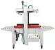 Заклейщик коробов FXJ-5050QS Hualian - Купить с доставкой по всей России - 3