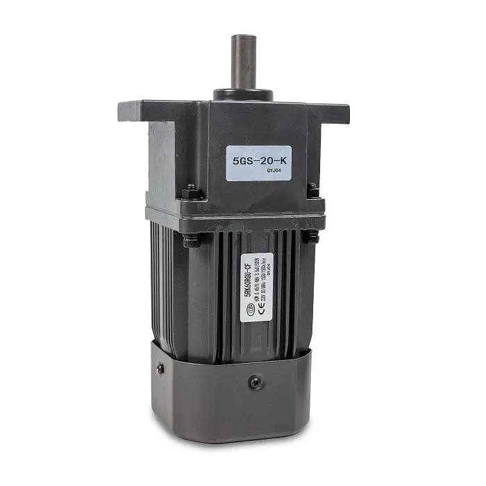 Двигатель конвейера (мотор-редуктор 5RK60RGU-CF/5GU-20-K) для BS-4535LA Hualian - Купить с доставкой по всей России