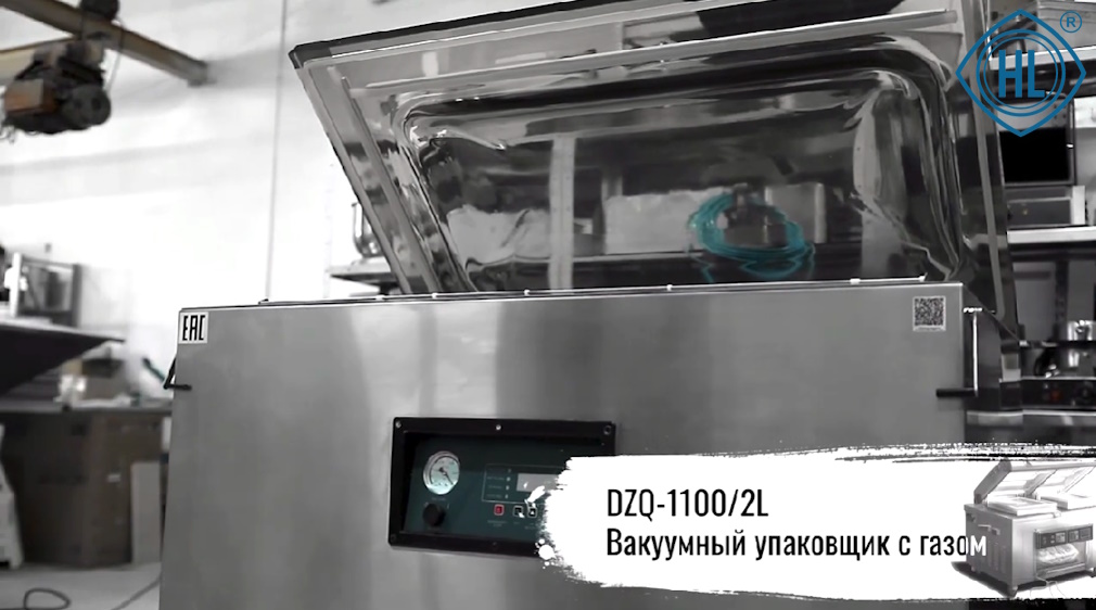 videoobzor-DZQ-1100-2L-1.jpg