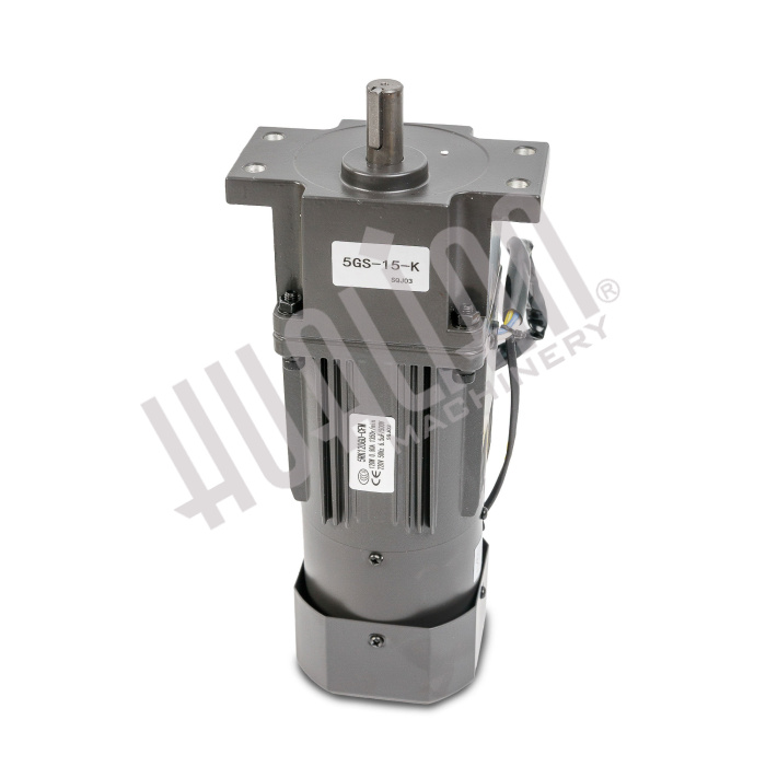 Мотор-редуктор 5RK120GU-CFM/5GS15K для BSF-5640LG-E Hualian - Купить с доставкой по всей России