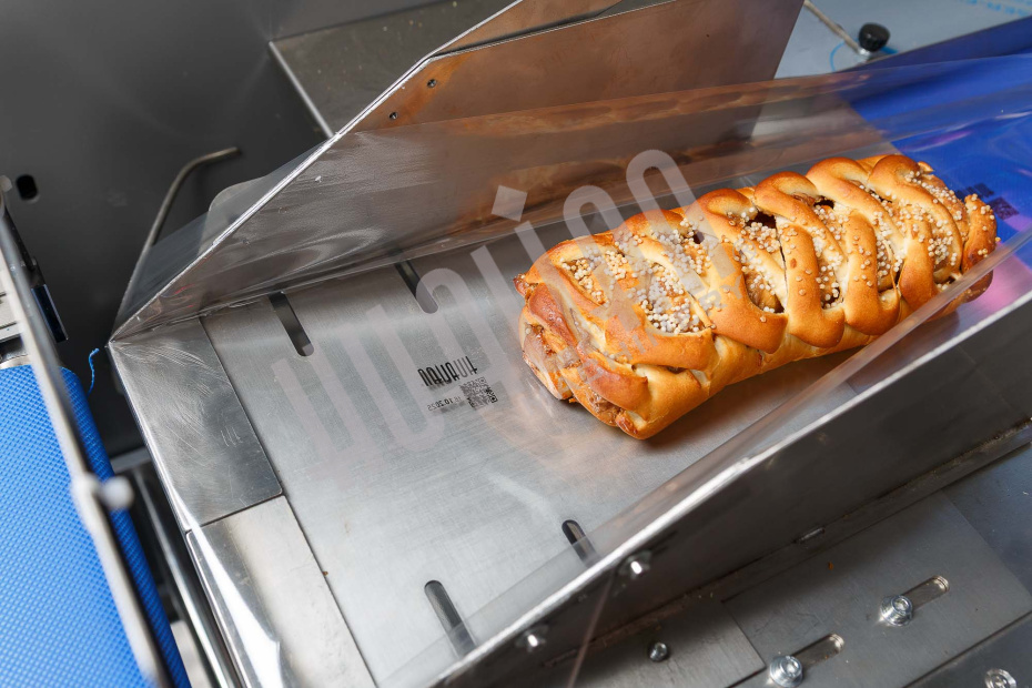 Встраиваемый ТТО принтер HL-X5 (53 мм, станина 500 мм для гориз. маш.) Hualian - Купить с доставкой по всей России - 16