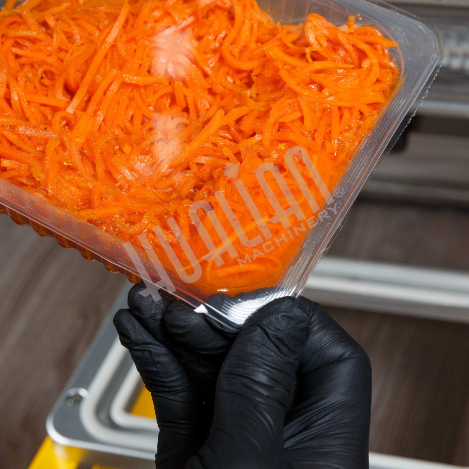 Ручной запайщик лотков HTS-210R Крашеный корпус (210*148) Hualian - Купить с доставкой по всей России - 26