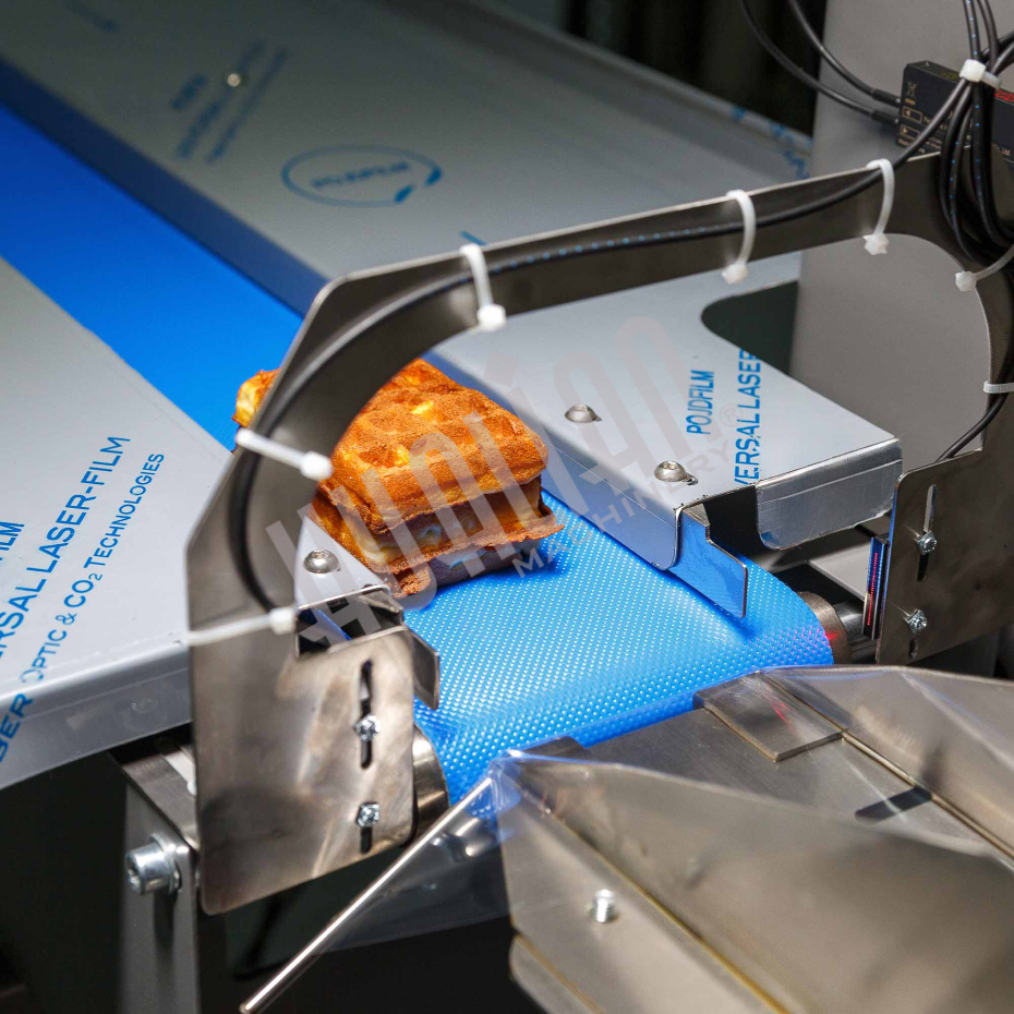 Горизонтальная упаковочная машина DXDZ-250XD (лент. 60 мм, рег. форм., S 250, L 120-280, H 60) Hualian - Купить с доставкой по всей России - 6