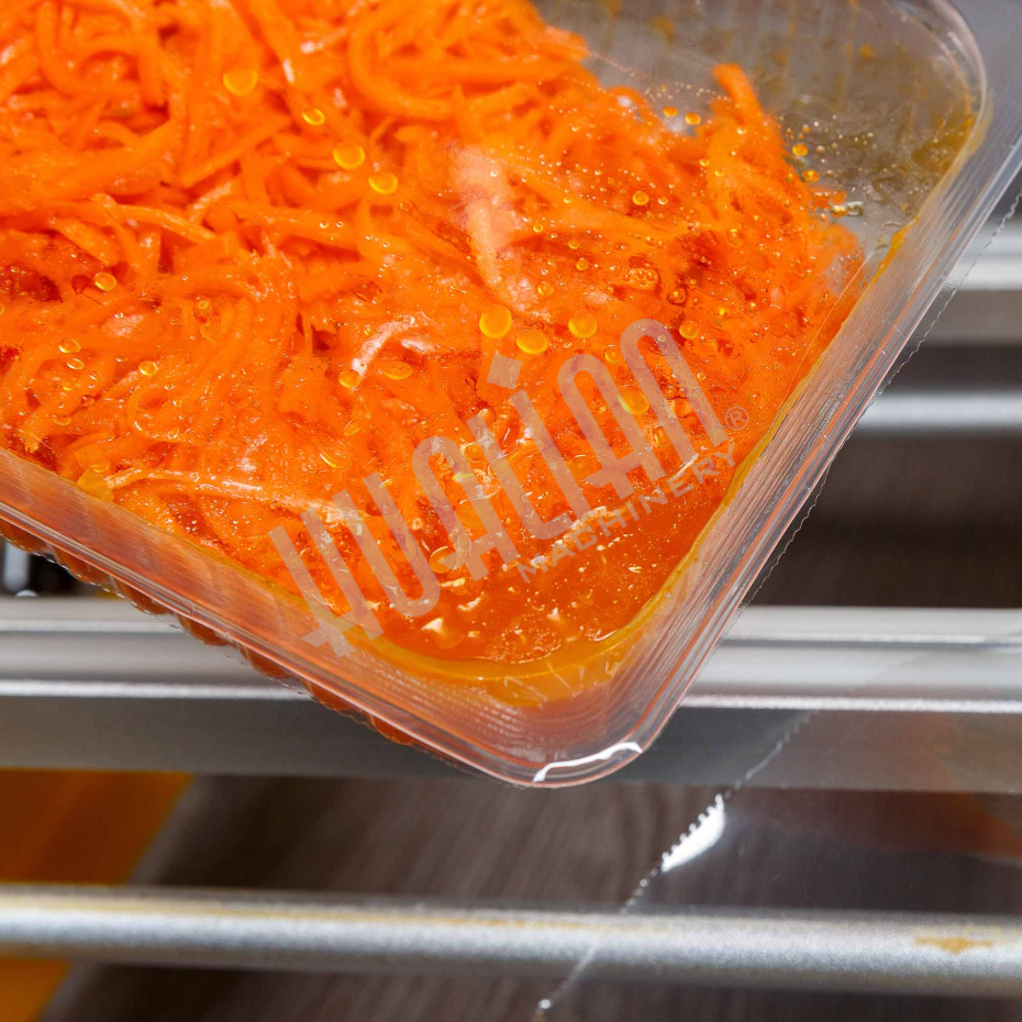 Ручной запайщик лотков HTS-210R Крашеный корпус (210*148) Hualian - Купить с доставкой по всей России - 28