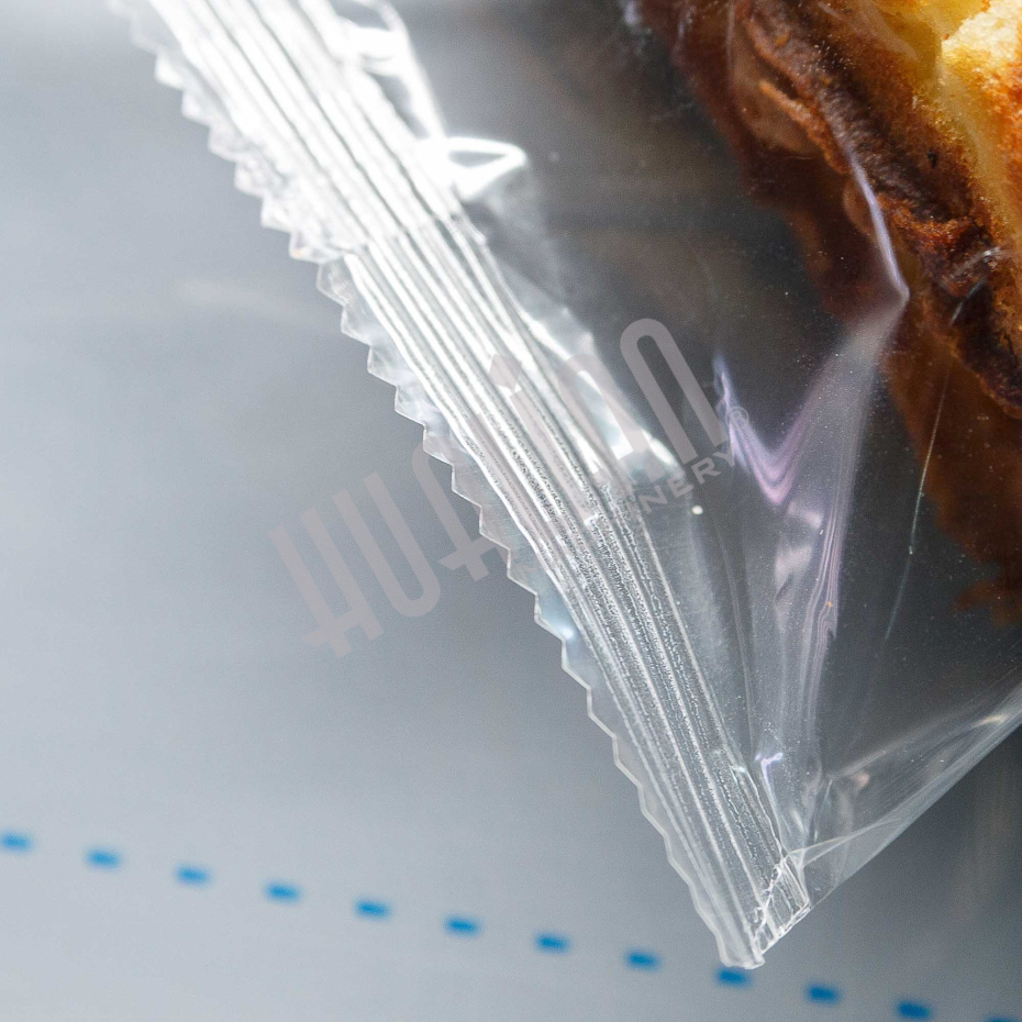 Горизонтальная упаковочная машина DXDZ-250XD (лент.100 мм, рег. форм., S 250, L 120-280, H 60) Hualian - Купить с доставкой по всей России - 16