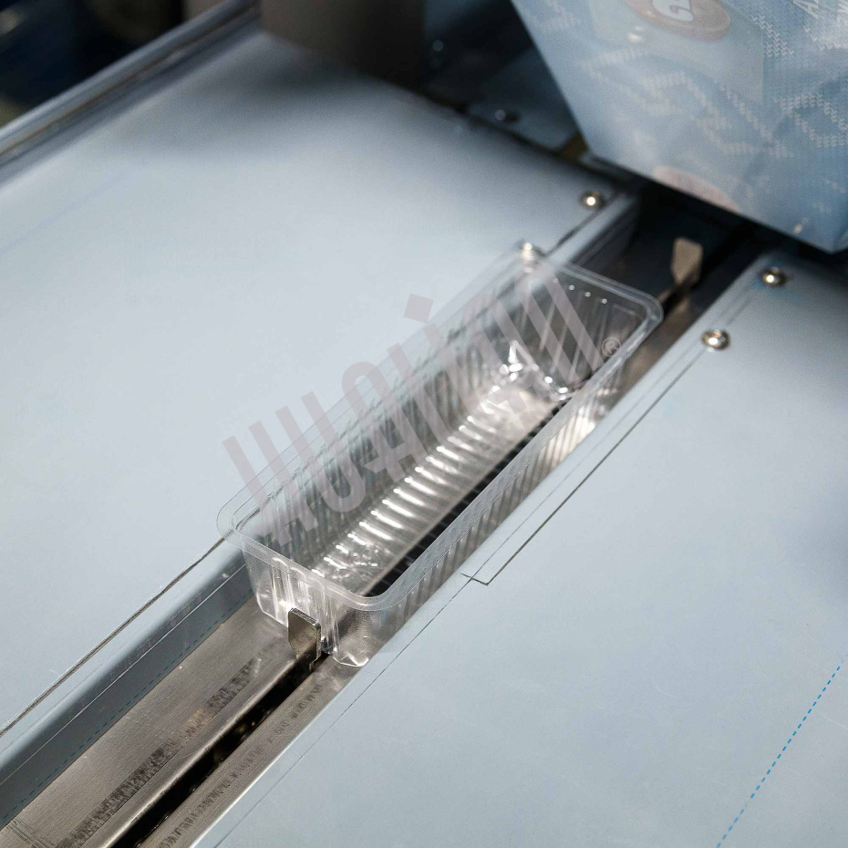 Автоматическая горизонтальная упаковочная машина DXDZ-250D NEW (1 нож, bag L 120-280mm, S 250mm, H - 40 mm) Hualian - Купить с доставкой по всей России - 5