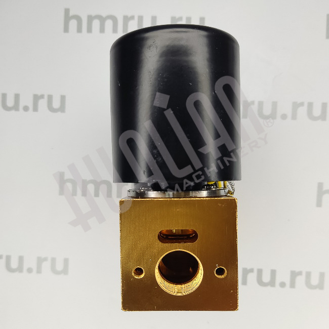 Электромагнитный клапан для вакуумного аппарата HVC-400/2T Hualian - Купить с доставкой по всей России - 3