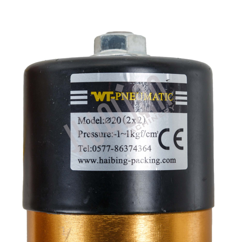 Электромагнитный клапан вакуумирования для DZ(Q) NEW двухкамерных Hualian - Купить с доставкой по всей России - 2