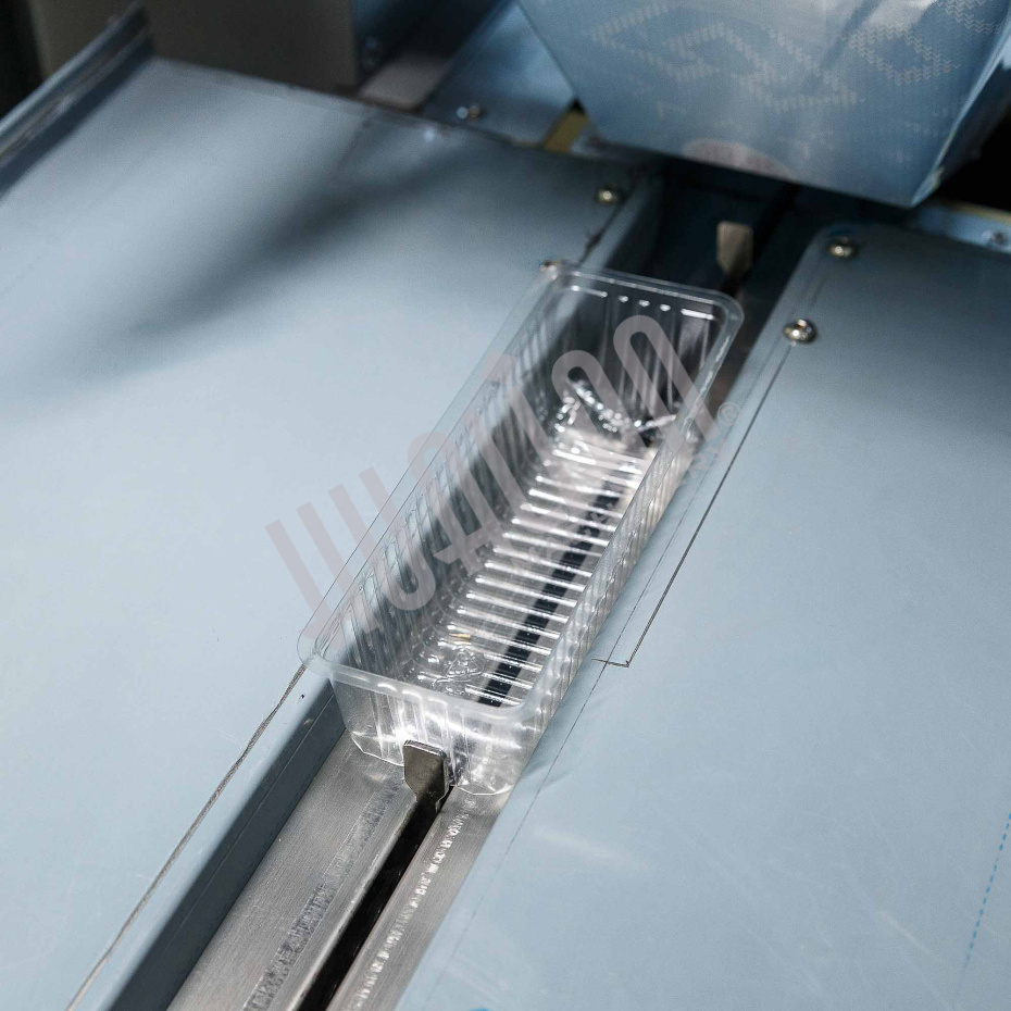 Автоматическая горизонтальная упаковочная машина DXDZ-250D NEW (1 нож, bag L 120-280mm, S 250mm, H - 40 mm) Hualian - Купить с доставкой по всей России - 6