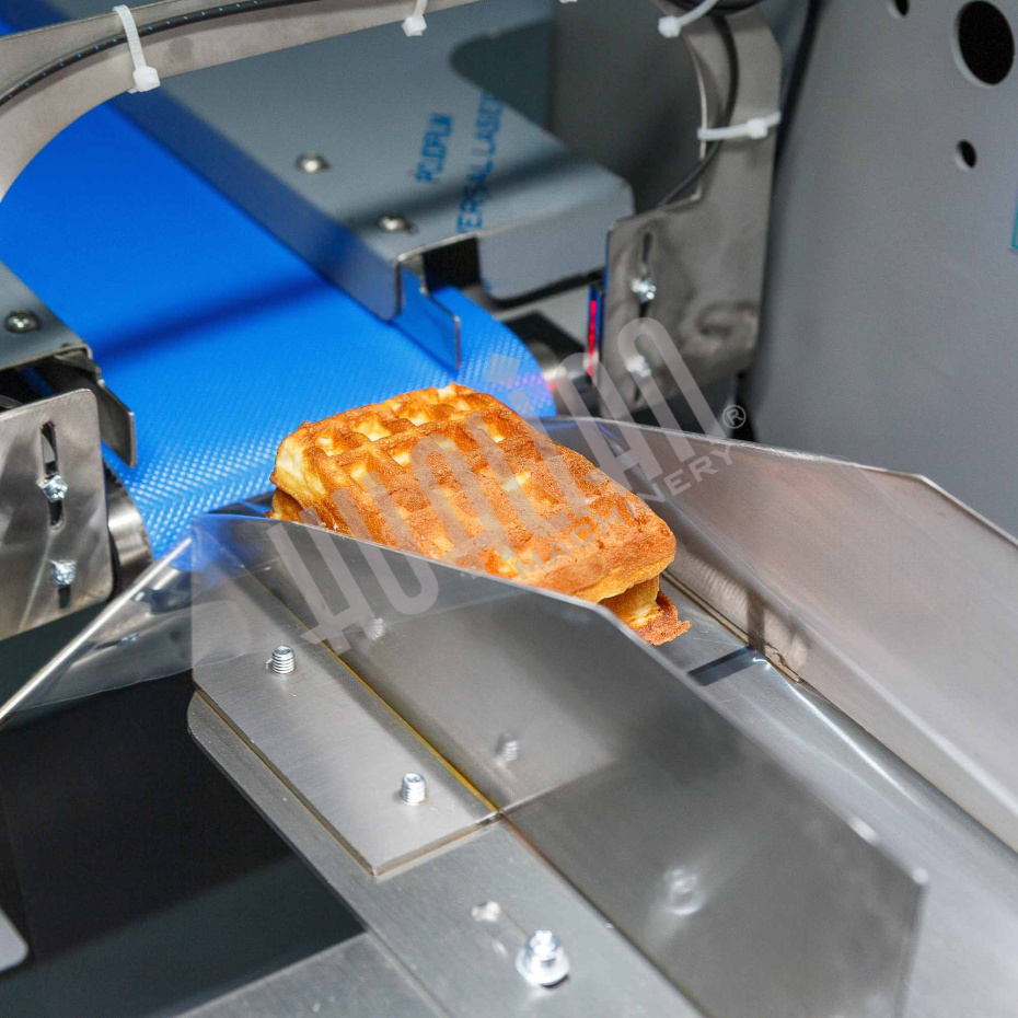 Горизонтальная упаковочная машина DXDZ-250XD (лент. 60 мм, рег. форм., S 250, L 120-280, H 60) Hualian - Купить с доставкой по всей России - 9