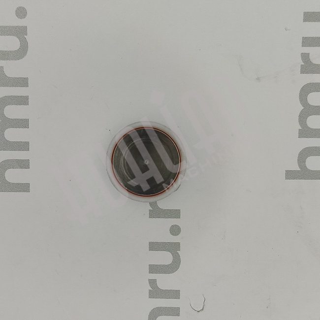 Поршень с кольцами (PTFE) для LPF/PPF-50(T) Hualian - Купить с доставкой по всей России