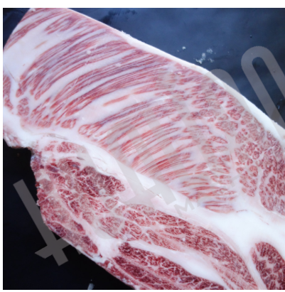 Инъектор ZSF-88 Hualian - Купить с доставкой по всей России - 2