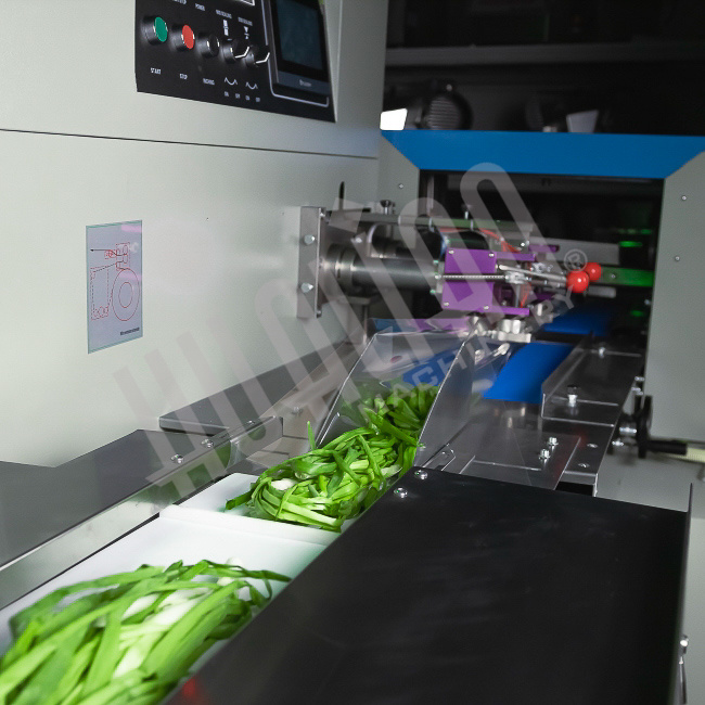 Горизонтальная упаковочная машина DXDZ-450XD (лент. S 200, рег. форм., S 400mm, L 130-450, H 80) Hualian - Купить с доставкой по всей России - 4