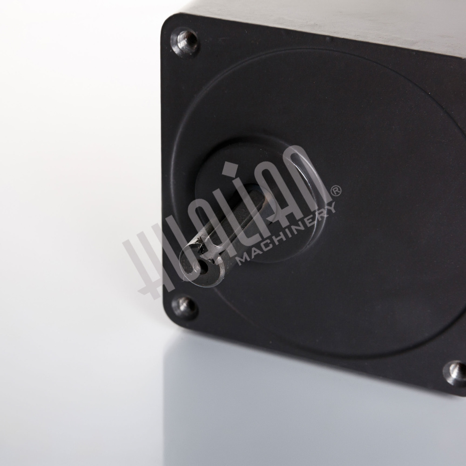 Двигатель конвейера 4RK25GN-CF-T/4GN-15-K (220V) для BSF-5540A/BSL-5045L/BSF-5030LT Hualian - Купить с доставкой по всей России - 7